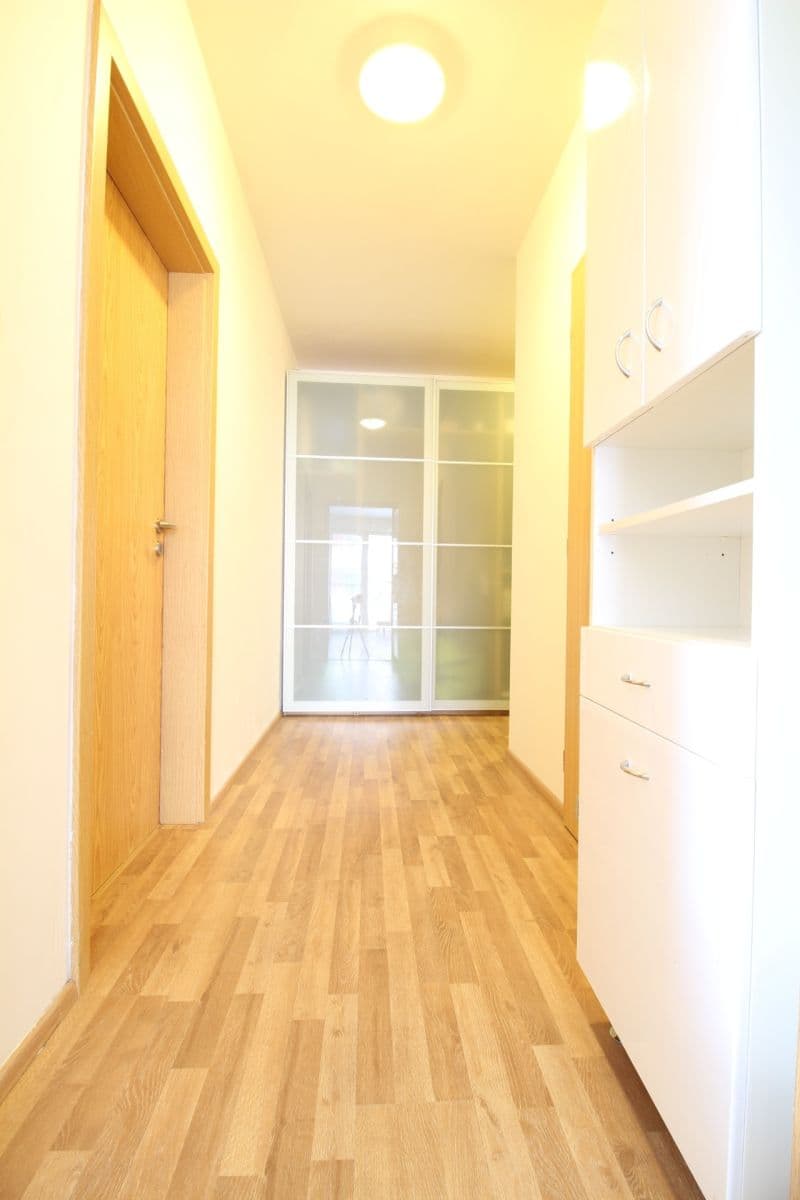1 bedroom with open-plan kitchen flat to rent, 59 m², Rýnská, Prague, Prague 1 bedroom with open-plan kitchen flat to rent, 59 m², Rýnská, Prague, Prague