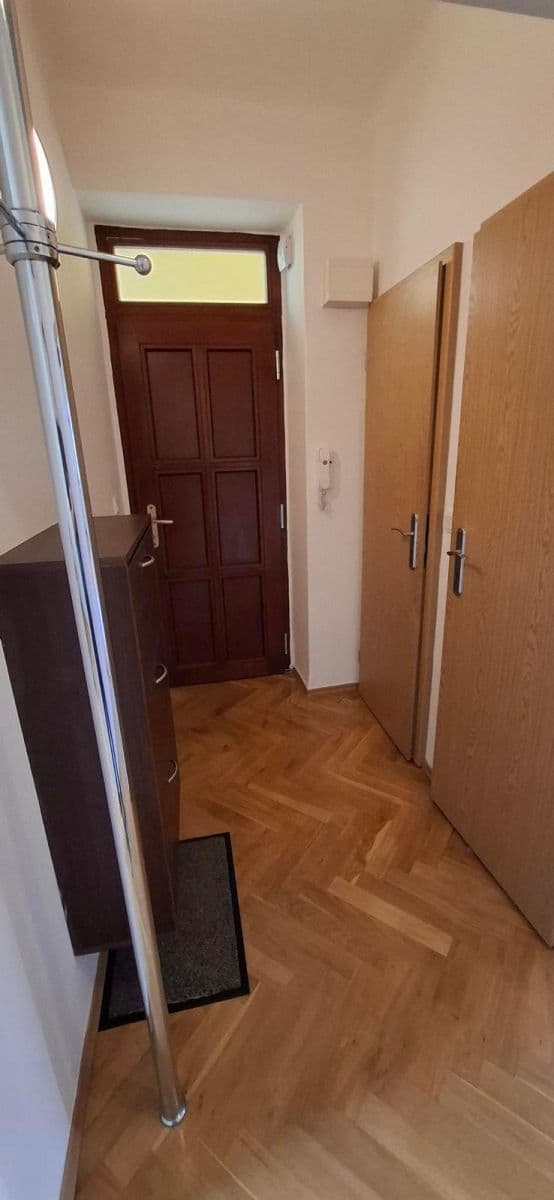 1 bedroom with open-plan kitchen flat to rent, 48 m², Renneská třída, Brno, Jihomoravský Region 1 bedroom with open-plan kitchen flat to rent, 48 m², Renneská třída, Brno, Jihomoravský Region