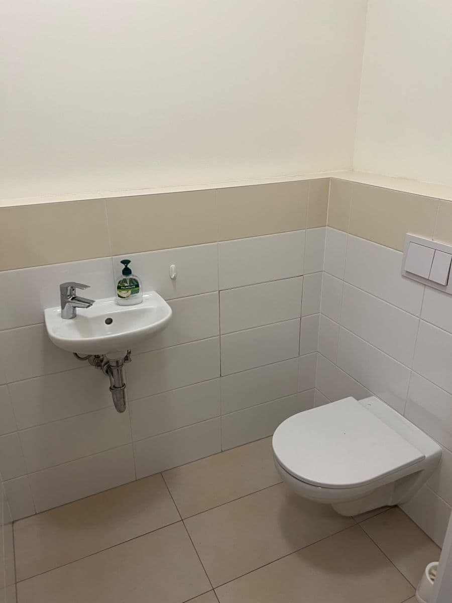 1 bedroom with open-plan kitchen flat for sale, 55 m², Zlochova, Prague, Prague 1 bedroom with open-plan kitchen flat for sale, 55 m², Zlochova, Prague, Prague