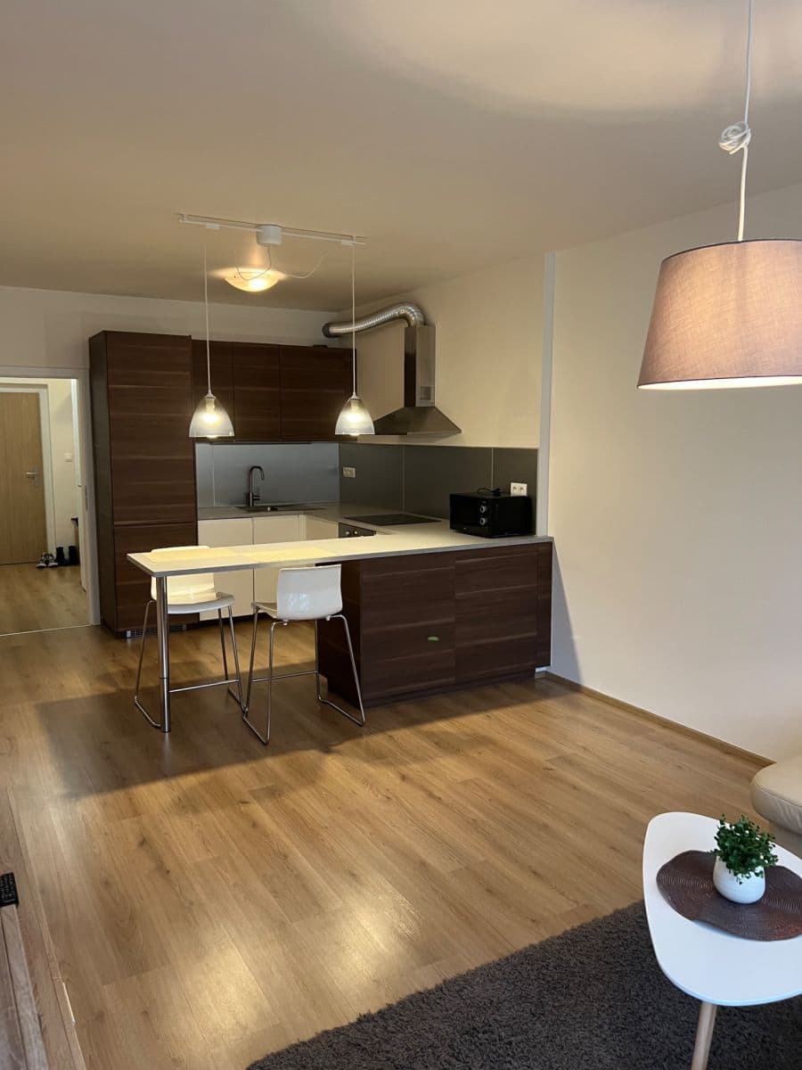 1 bedroom with open-plan kitchen flat for sale, 55 m², Zlochova, Prague, Prague 1 bedroom with open-plan kitchen flat for sale, 55 m², Zlochova, Prague, Prague