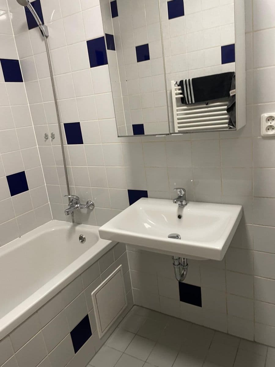 1 bedroom with open-plan kitchen flat to rent, 54 m², Pechova, Brno, Jihomoravský Region 1 bedroom with open-plan kitchen flat to rent, 54 m², Pechova, Brno, Jihomoravský Region