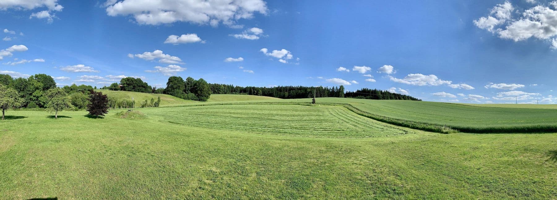plot for sale, 28,000 m², Gerzen, Bavaria plot for sale, 28,000 m², Gerzen, Bavaria