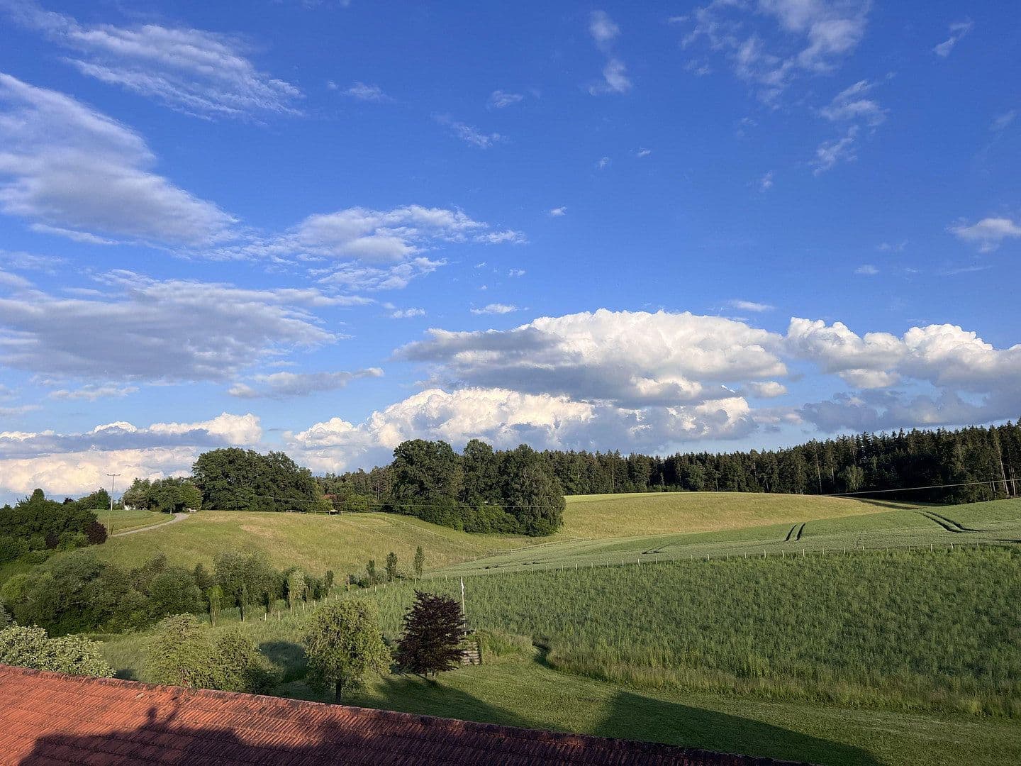 plot for sale, 28,000 m², Gerzen, Bavaria plot for sale, 28,000 m², Gerzen, Bavaria