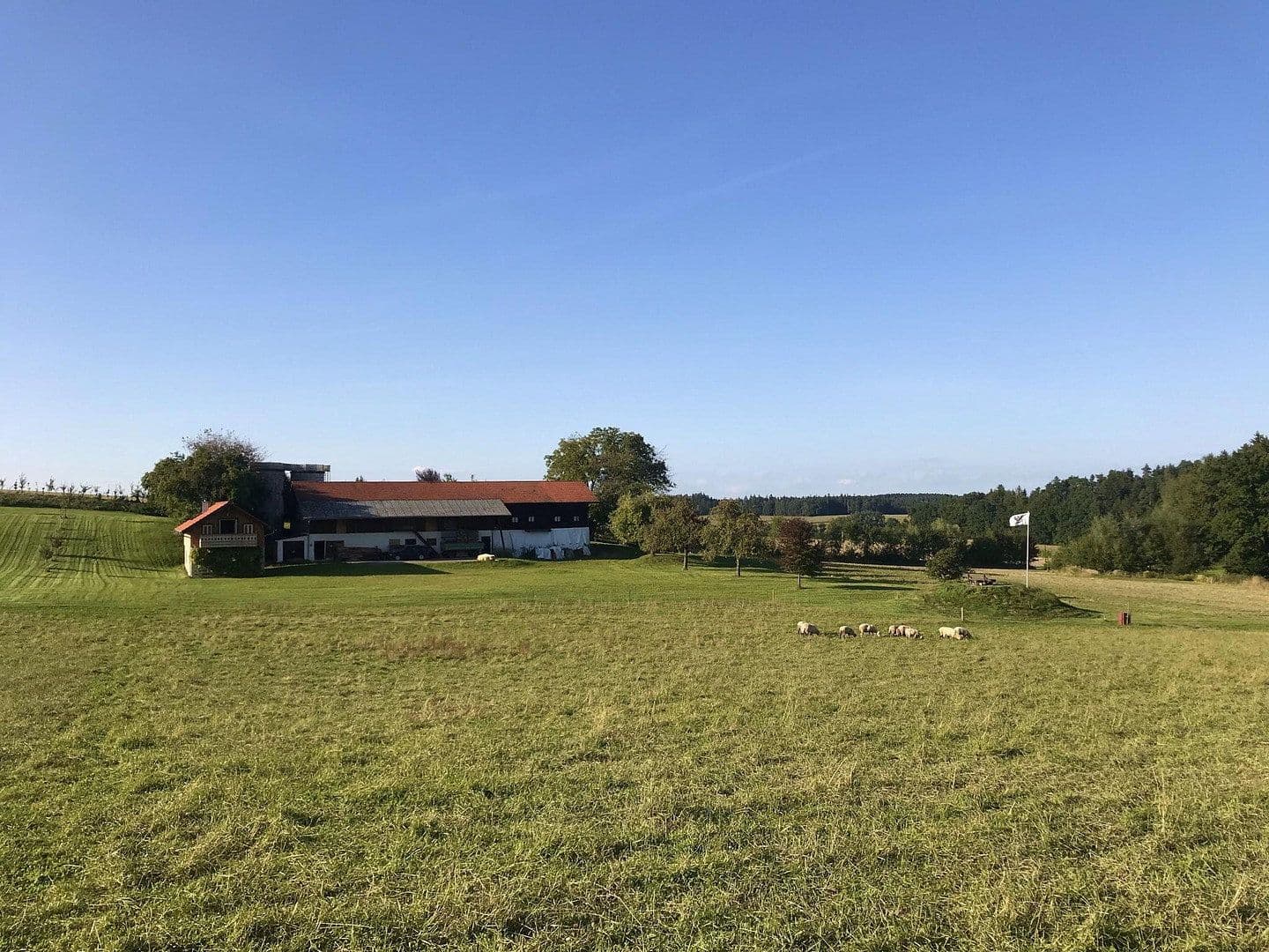 plot for sale, 28,000 m², Gerzen, Bavaria plot for sale, 28,000 m², Gerzen, Bavaria
