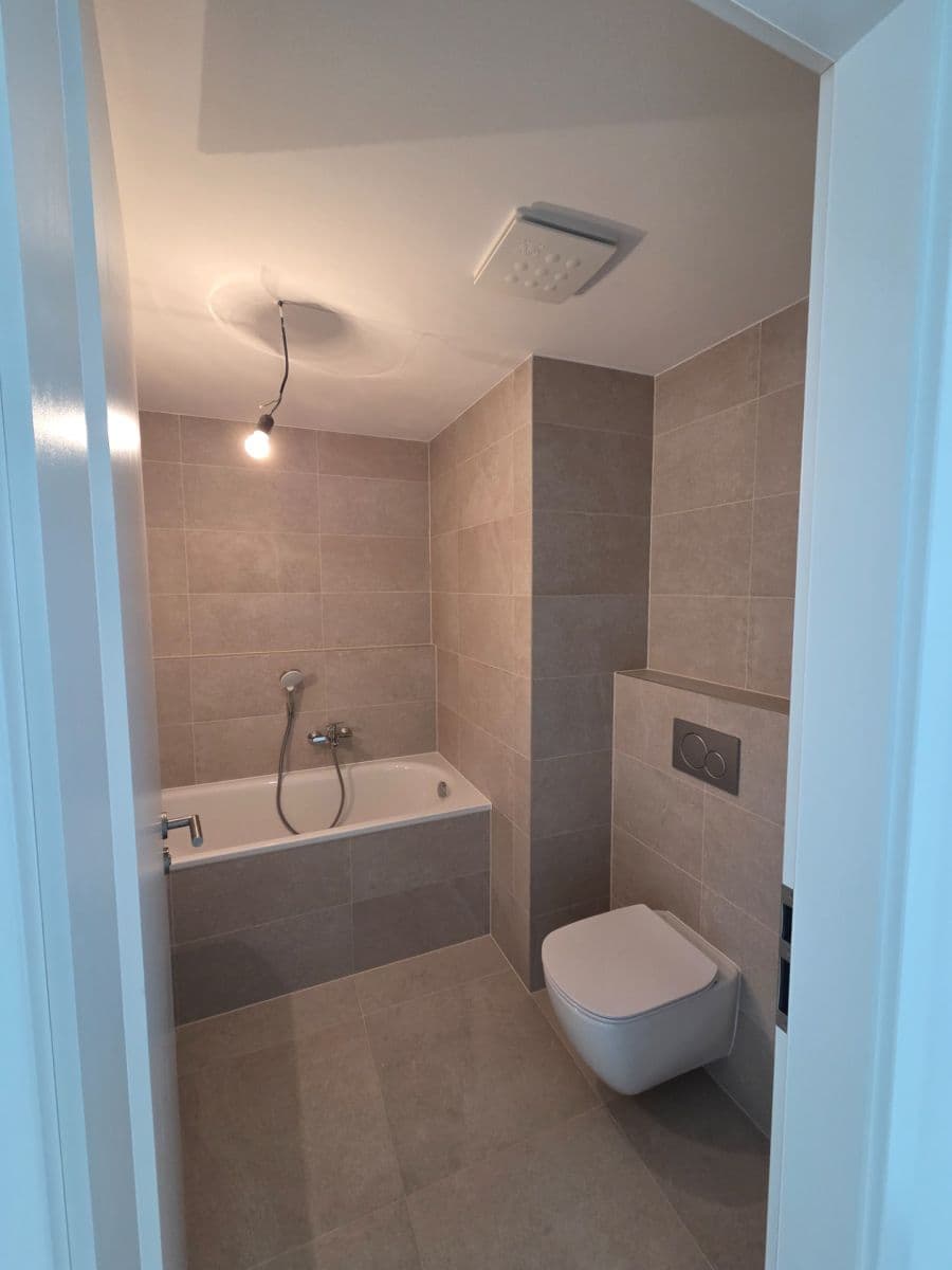 1 bedroom with open-plan kitchen flat to rent, 54 m², Nebřenická, Prague, Prague 1 bedroom with open-plan kitchen flat to rent, 54 m², Nebřenická, Prague, Prague