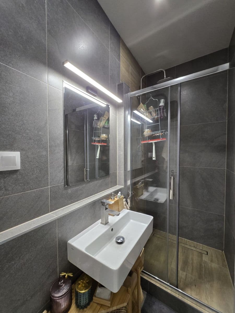 1 bedroom with open-plan kitchen flat to rent, 54 m², Pod Kotlaskou, Prague, Prague 1 bedroom with open-plan kitchen flat to rent, 54 m², Pod Kotlaskou, Prague, Prague