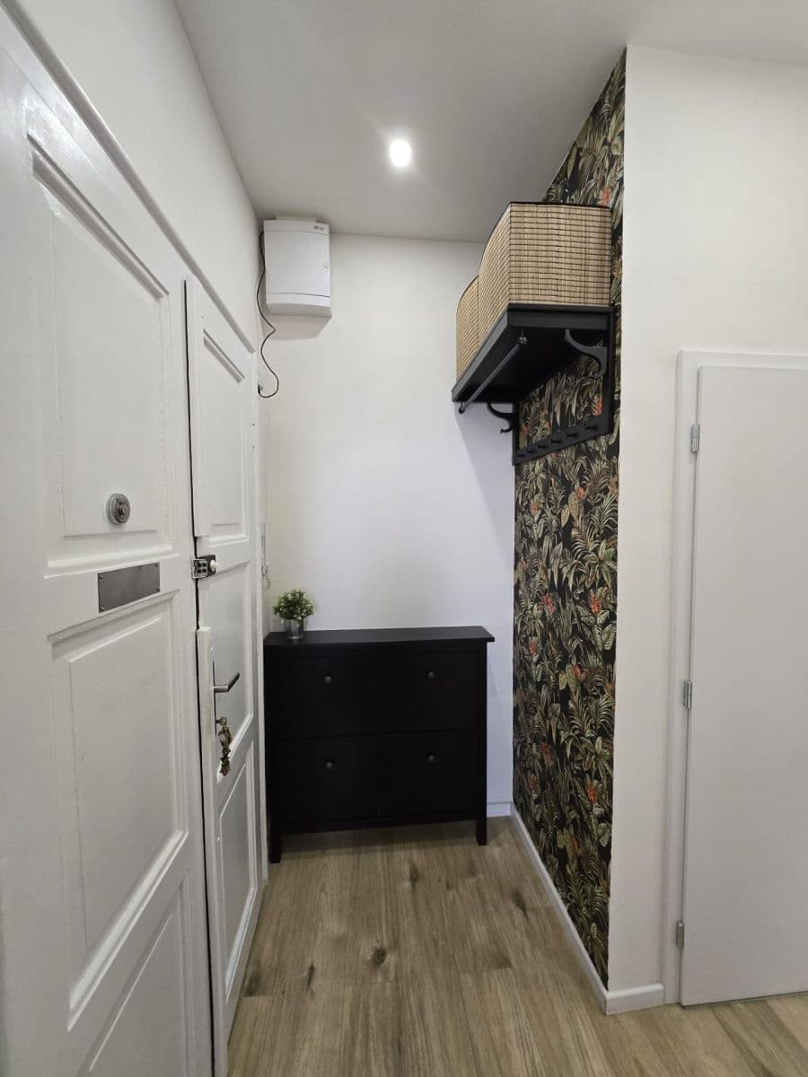 1 bedroom with open-plan kitchen flat to rent, 54 m², Pod Kotlaskou, Prague, Prague 1 bedroom with open-plan kitchen flat to rent, 54 m², Pod Kotlaskou, Prague, Prague