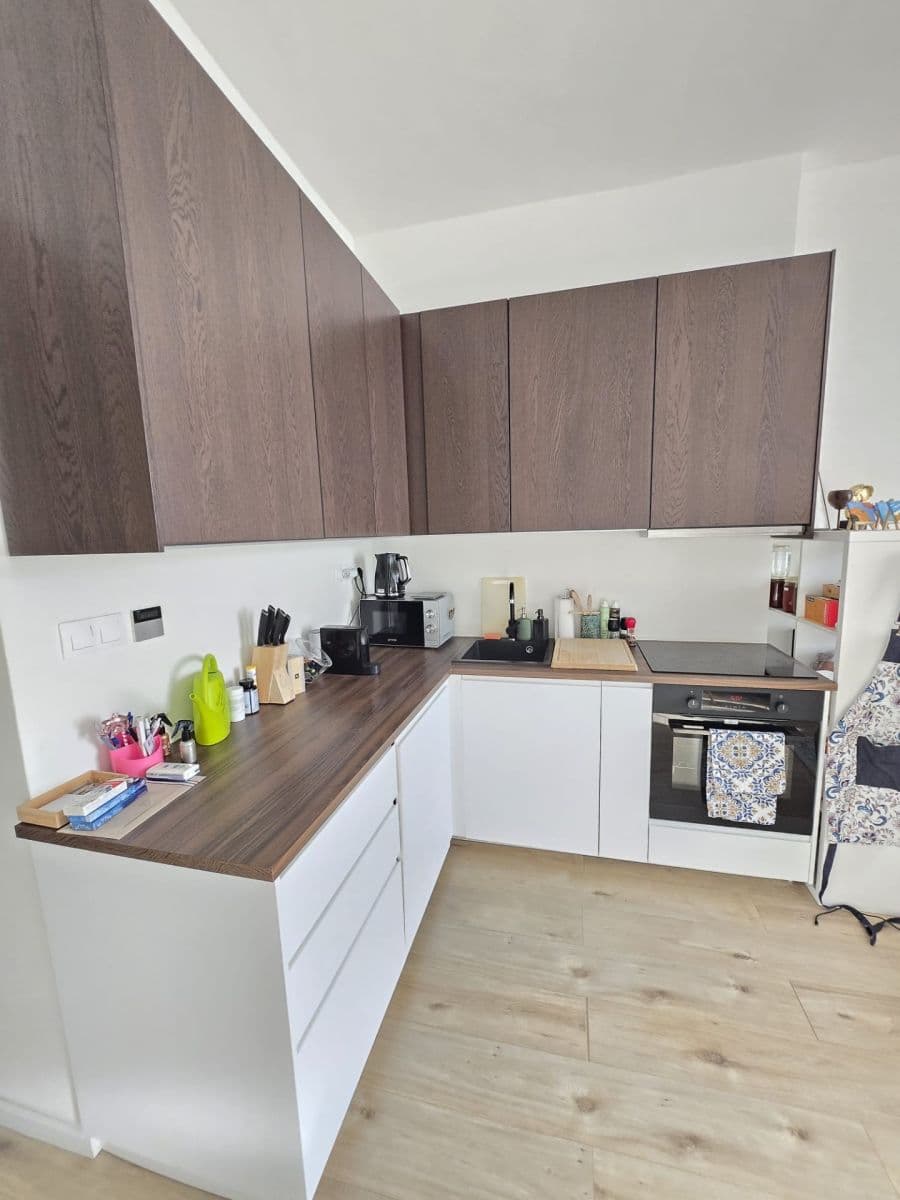 1 bedroom with open-plan kitchen flat to rent, 54 m², Pod Kotlaskou, Prague, Prague 1 bedroom with open-plan kitchen flat to rent, 54 m², Pod Kotlaskou, Prague, Prague