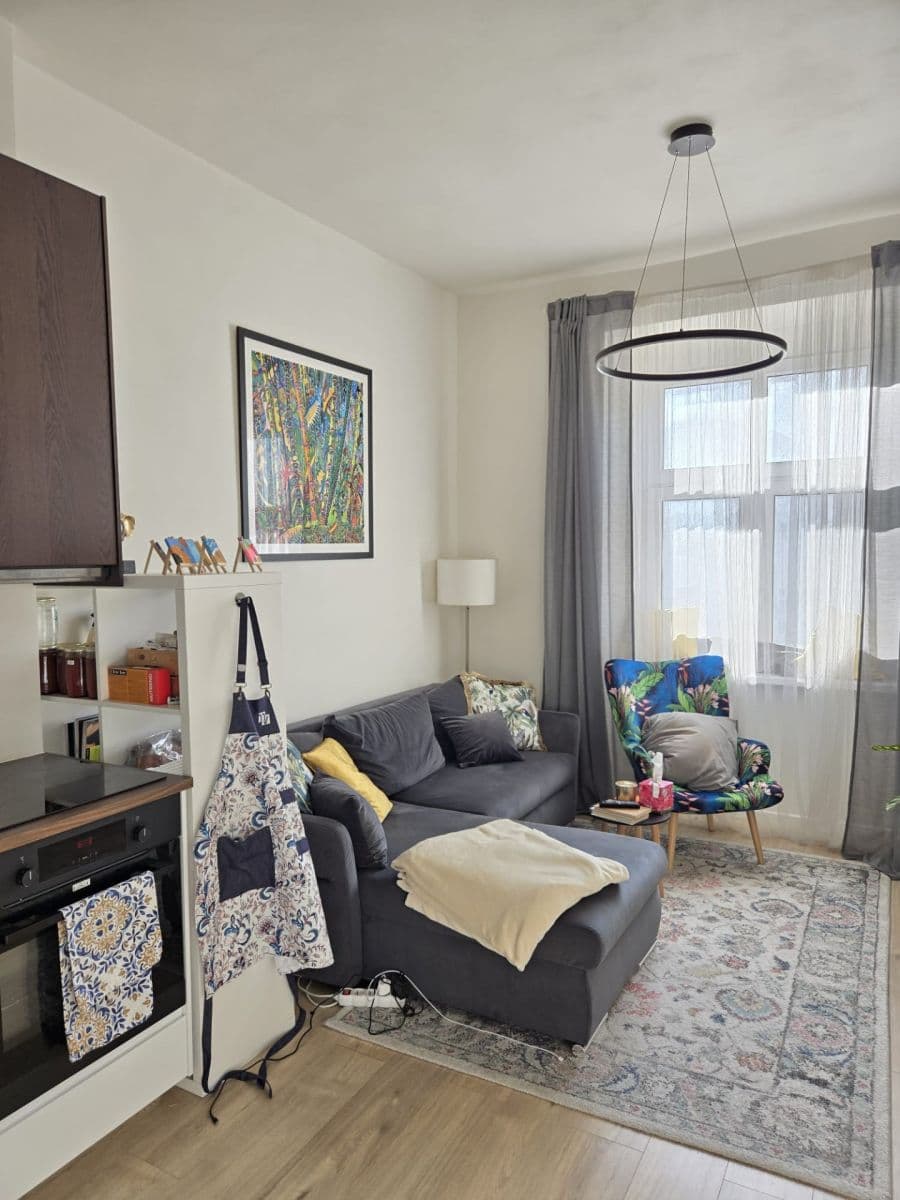 1 bedroom with open-plan kitchen flat to rent, 54 m², Pod Kotlaskou, Prague, Prague 1 bedroom with open-plan kitchen flat to rent, 54 m², Pod Kotlaskou, Prague, Prague