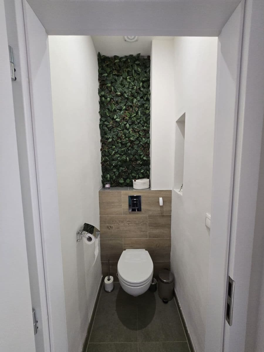 1 bedroom with open-plan kitchen flat to rent, 54 m², Pod Kotlaskou, Prague, Prague 1 bedroom with open-plan kitchen flat to rent, 54 m², Pod Kotlaskou, Prague, Prague