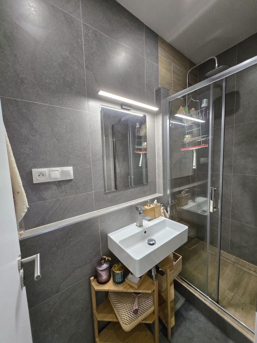 1 bedroom with open-plan kitchen flat to rent, 54 m², Pod Kotlaskou, Prague, Prague 1 bedroom with open-plan kitchen flat to rent, 54 m², Pod Kotlaskou, Prague, Prague