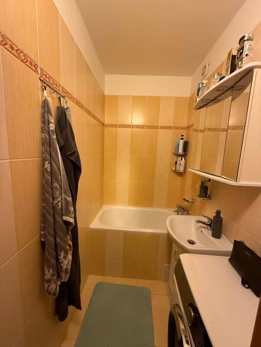 1 bedroom with open-plan kitchen flat to rent, 54 m², Teplická, Prague, Prague 1 bedroom with open-plan kitchen flat to rent, 54 m², Teplická, Prague, Prague