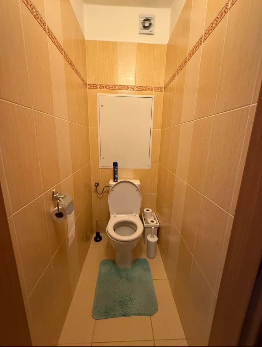 1 bedroom with open-plan kitchen flat to rent, 54 m², Teplická, Prague, Prague 1 bedroom with open-plan kitchen flat to rent, 54 m², Teplická, Prague, Prague