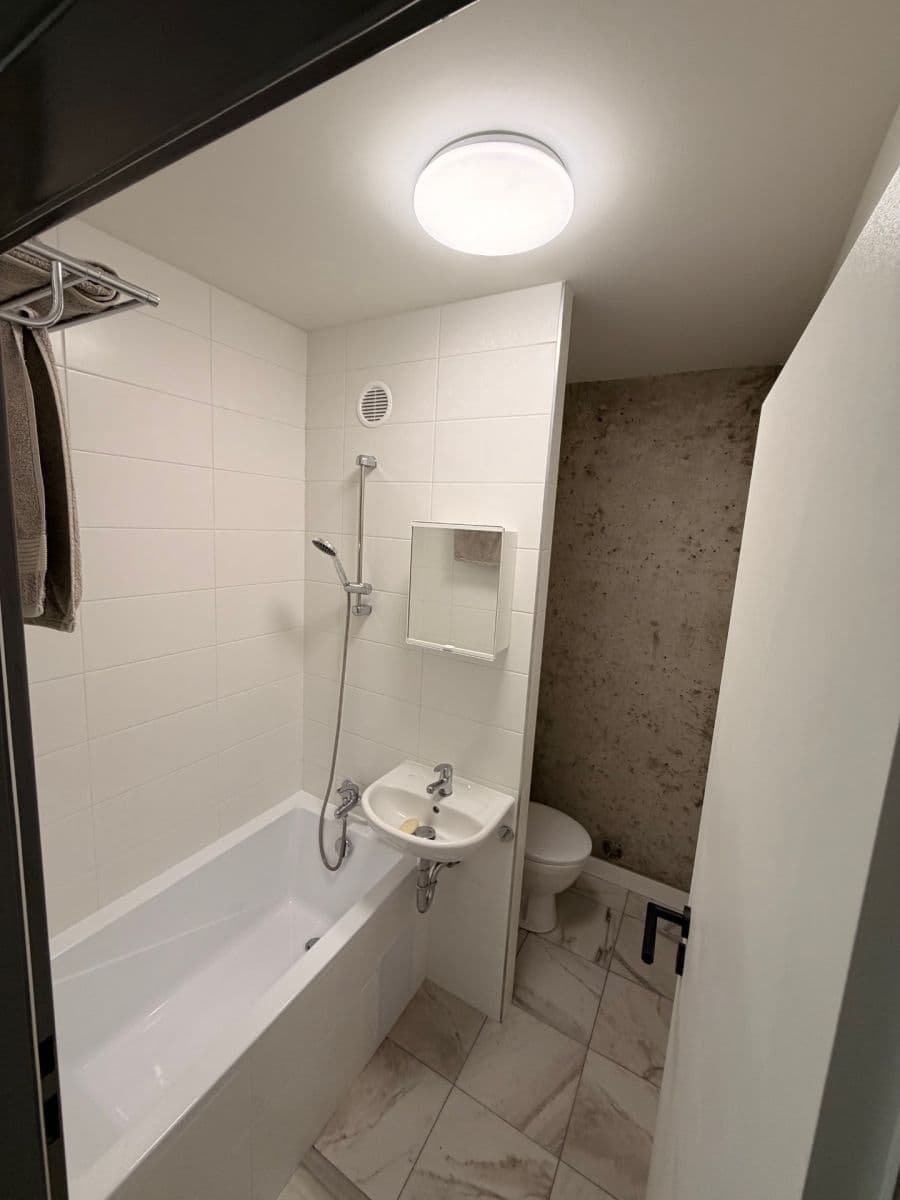 1 bedroom flat to rent, 34 m², Železná, Ústí nad Labem, Ústecký Region 1 bedroom flat to rent, 34 m², Železná, Ústí nad Labem, Ústecký Region