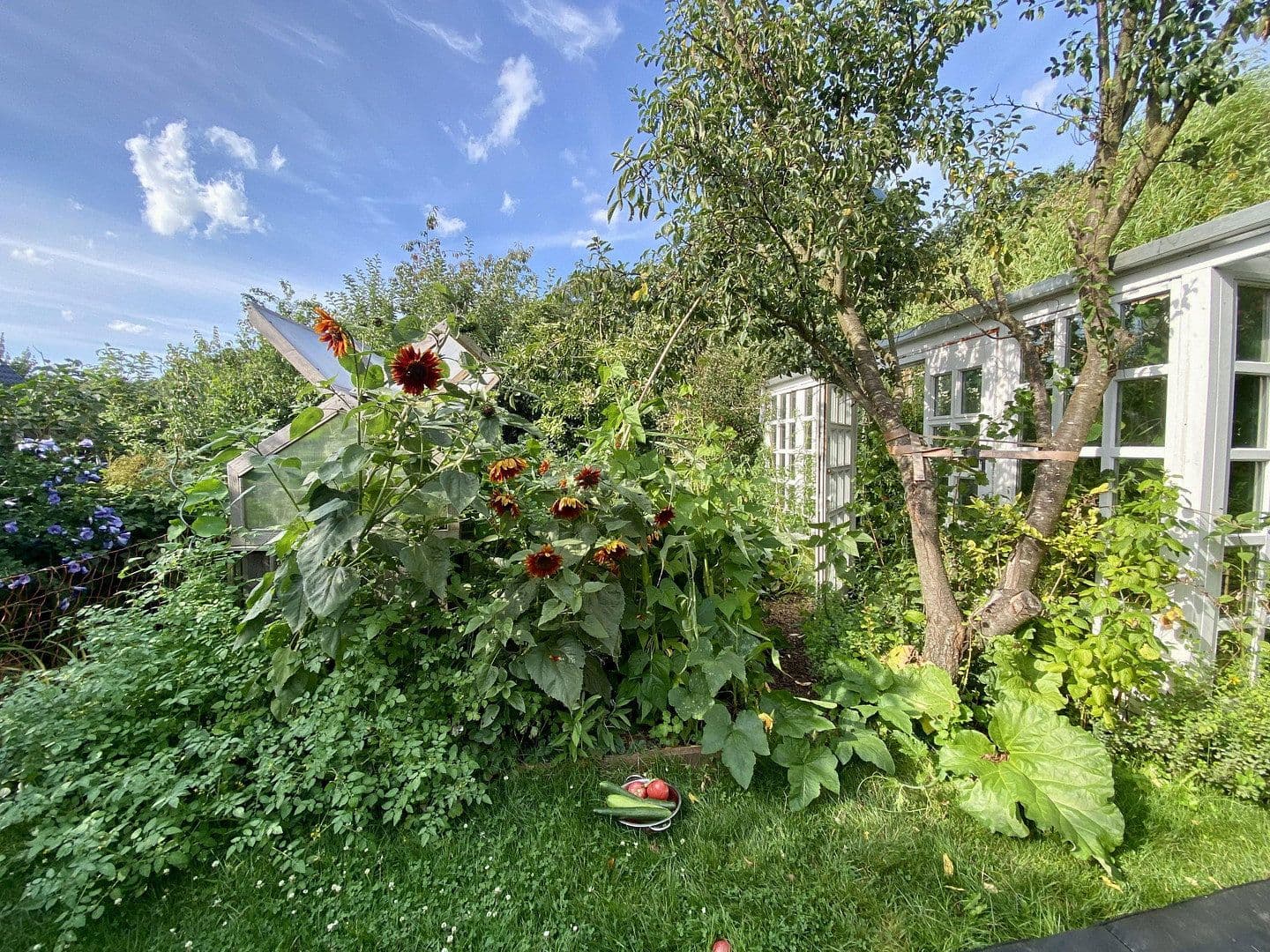 house for sale, 185 m², Celle, Lower Saxony house for sale, 185 m², Celle, Lower Saxony