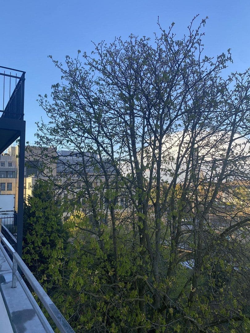 3 bedroom flat for sale, 110 m², Wittlich, Rhineland-Palatinate 3 bedroom flat for sale, 110 m², Wittlich, Rhineland-Palatinate