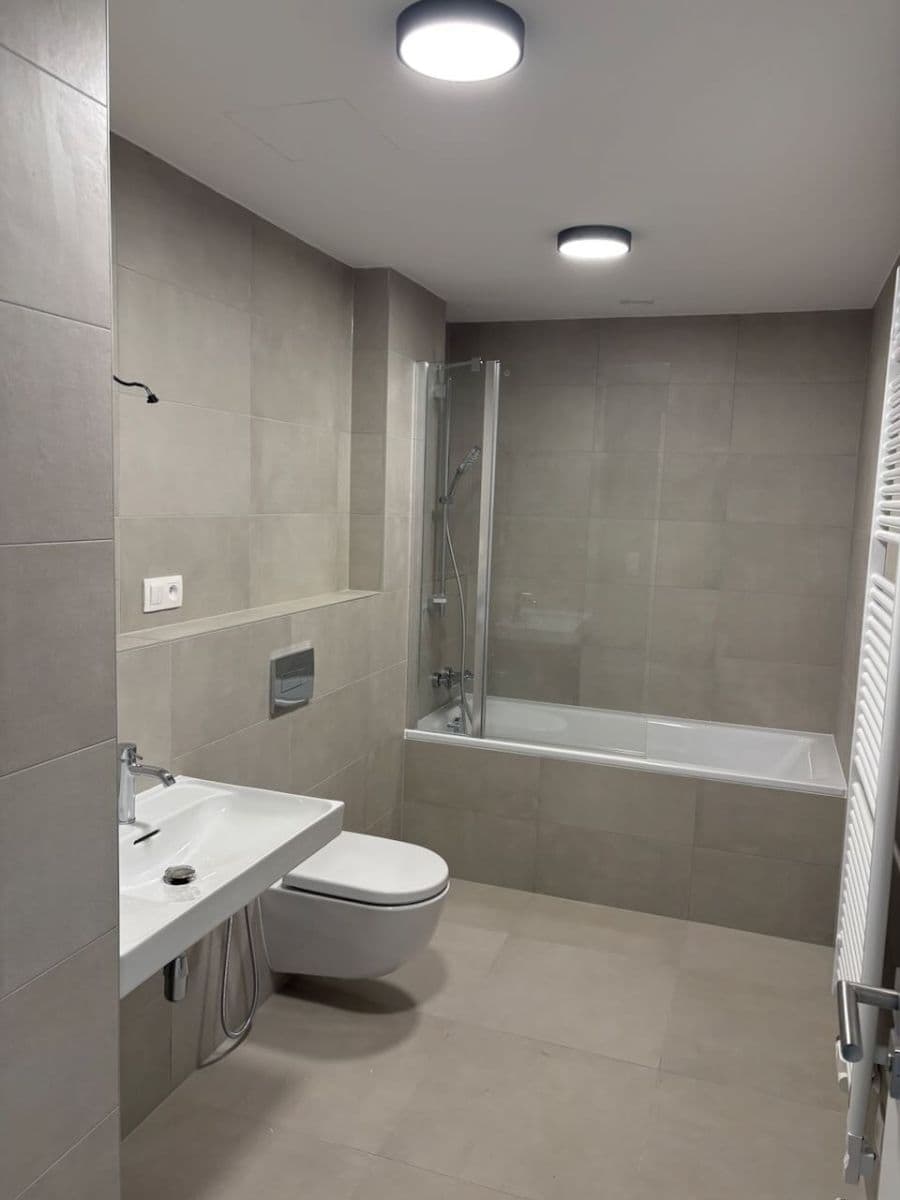 1 bedroom with open-plan kitchen flat to rent, 61 m², Pod Krocínkou, Prague, Prague 1 bedroom with open-plan kitchen flat to rent, 61 m², Pod Krocínkou, Prague, Prague