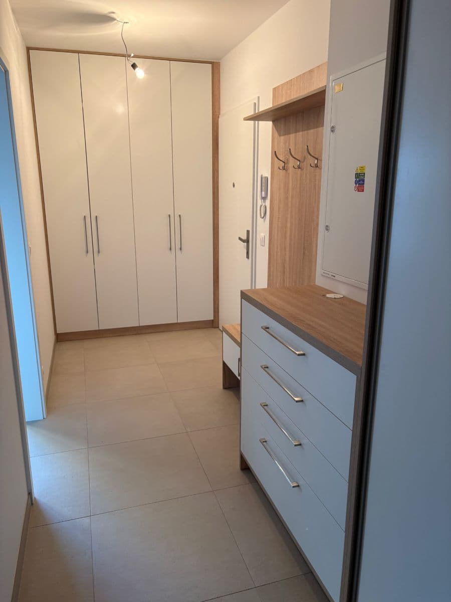 1 bedroom with open-plan kitchen flat to rent, 61 m², Pod Krocínkou, Prague, Prague 1 bedroom with open-plan kitchen flat to rent, 61 m², Pod Krocínkou, Prague, Prague