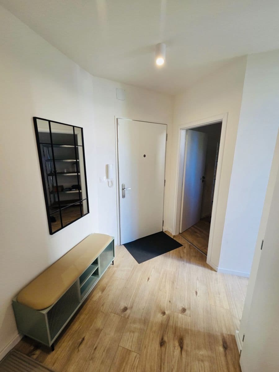 1 bedroom with open-plan kitchen flat to rent, 50 m², Na Veselí, Prague, Prague 1 bedroom with open-plan kitchen flat to rent, 50 m², Na Veselí, Prague, Prague