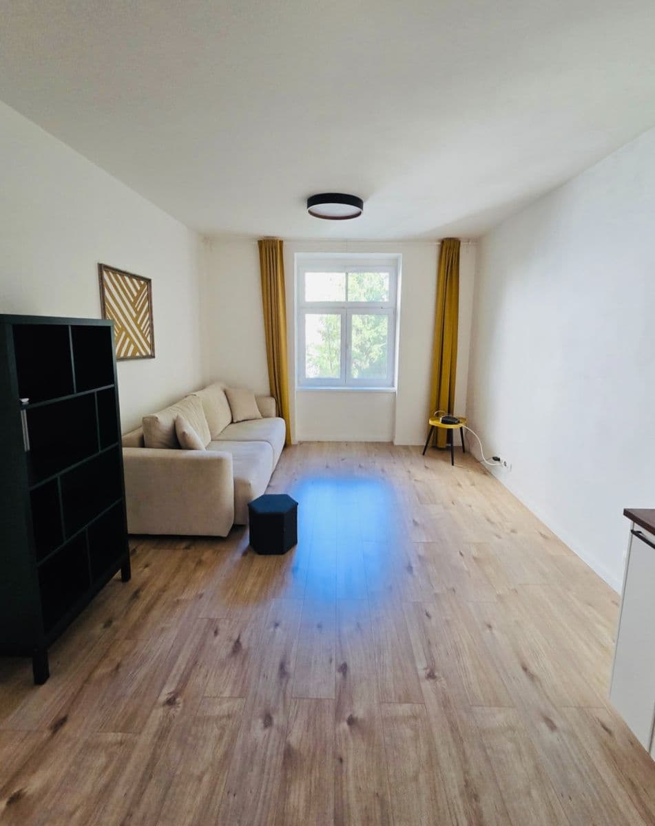 1 bedroom with open-plan kitchen flat to rent, 50 m², Na Veselí, Prague, Prague 1 bedroom with open-plan kitchen flat to rent, 50 m², Na Veselí, Prague, Prague