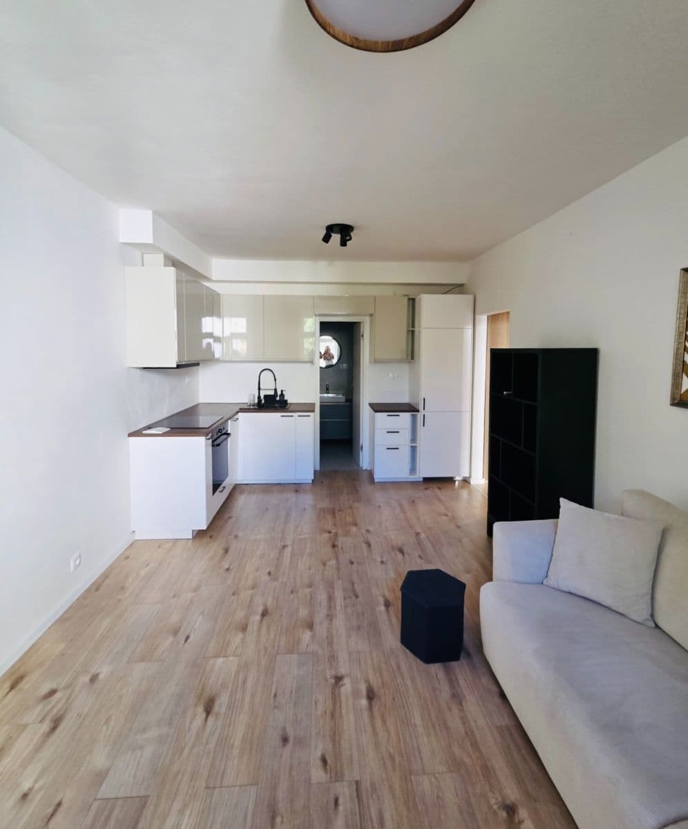 1 bedroom with open-plan kitchen flat to rent, 50 m², Na Veselí, Prague, Prague 1 bedroom with open-plan kitchen flat to rent, 50 m², Na Veselí, Prague, Prague