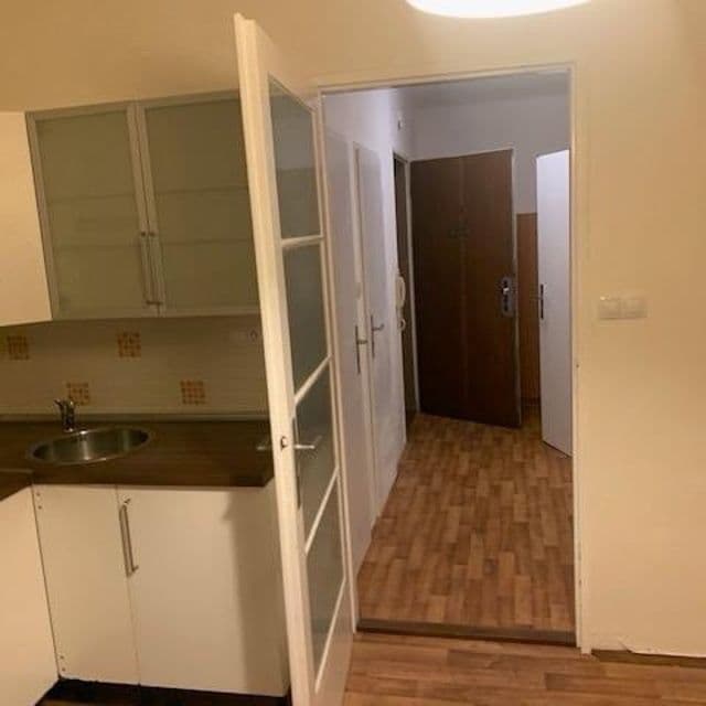 1 bedroom with open-plan kitchen flat to rent, 50 m², Za Strašnickou vozovnou, Prague, Prague 1 bedroom with open-plan kitchen flat to rent, 50 m², Za Strašnickou vozovnou, Prague, Prague