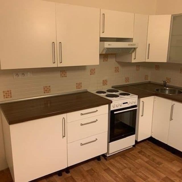 1 bedroom with open-plan kitchen flat to rent, 50 m², Za Strašnickou vozovnou, Prague, Prague 1 bedroom with open-plan kitchen flat to rent, 50 m², Za Strašnickou vozovnou, Prague, Prague