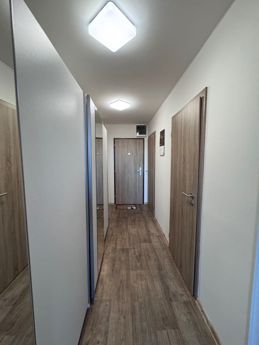 1 bedroom with open-plan kitchen flat to rent, 49 m², Smotlachova, Prague, Prague 1 bedroom with open-plan kitchen flat to rent, 49 m², Smotlachova, Prague, Prague