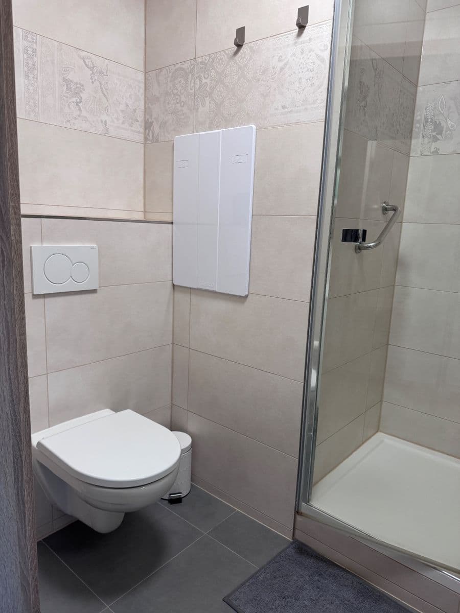 1 bedroom with open-plan kitchen flat to rent, 49 m², Smotlachova, Prague, Prague 1 bedroom with open-plan kitchen flat to rent, 49 m², Smotlachova, Prague, Prague