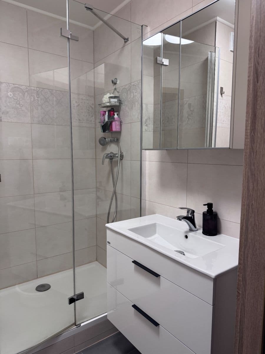 1 bedroom with open-plan kitchen flat to rent, 49 m², Smotlachova, Prague, Prague 1 bedroom with open-plan kitchen flat to rent, 49 m², Smotlachova, Prague, Prague