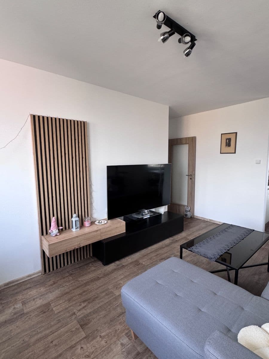 1 bedroom with open-plan kitchen flat to rent, 49 m², Smotlachova, Prague, Prague 1 bedroom with open-plan kitchen flat to rent, 49 m², Smotlachova, Prague, Prague