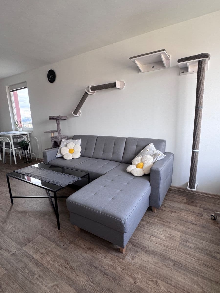 1 bedroom with open-plan kitchen flat to rent, 49 m², Smotlachova, Prague, Prague 1 bedroom with open-plan kitchen flat to rent, 49 m², Smotlachova, Prague, Prague