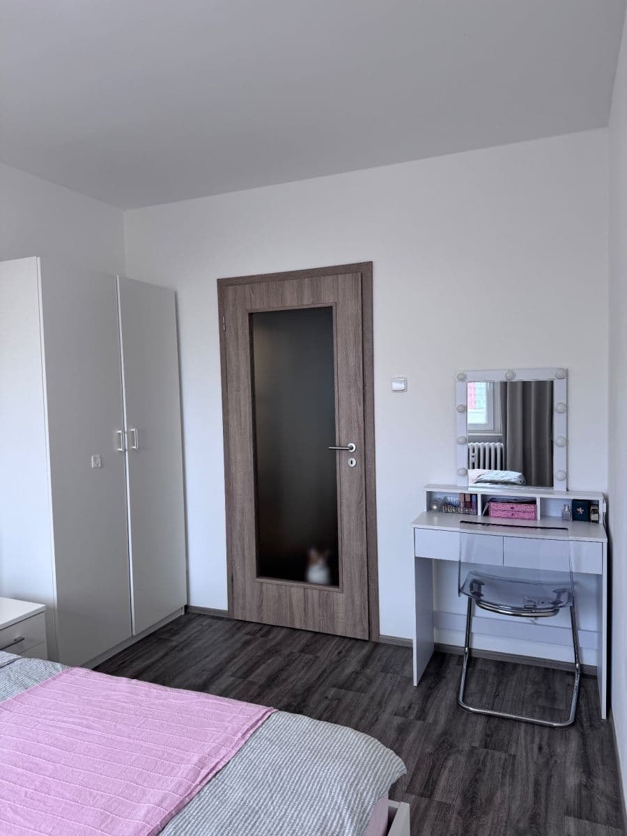 1 bedroom with open-plan kitchen flat to rent, 49 m², Smotlachova, Prague, Prague 1 bedroom with open-plan kitchen flat to rent, 49 m², Smotlachova, Prague, Prague