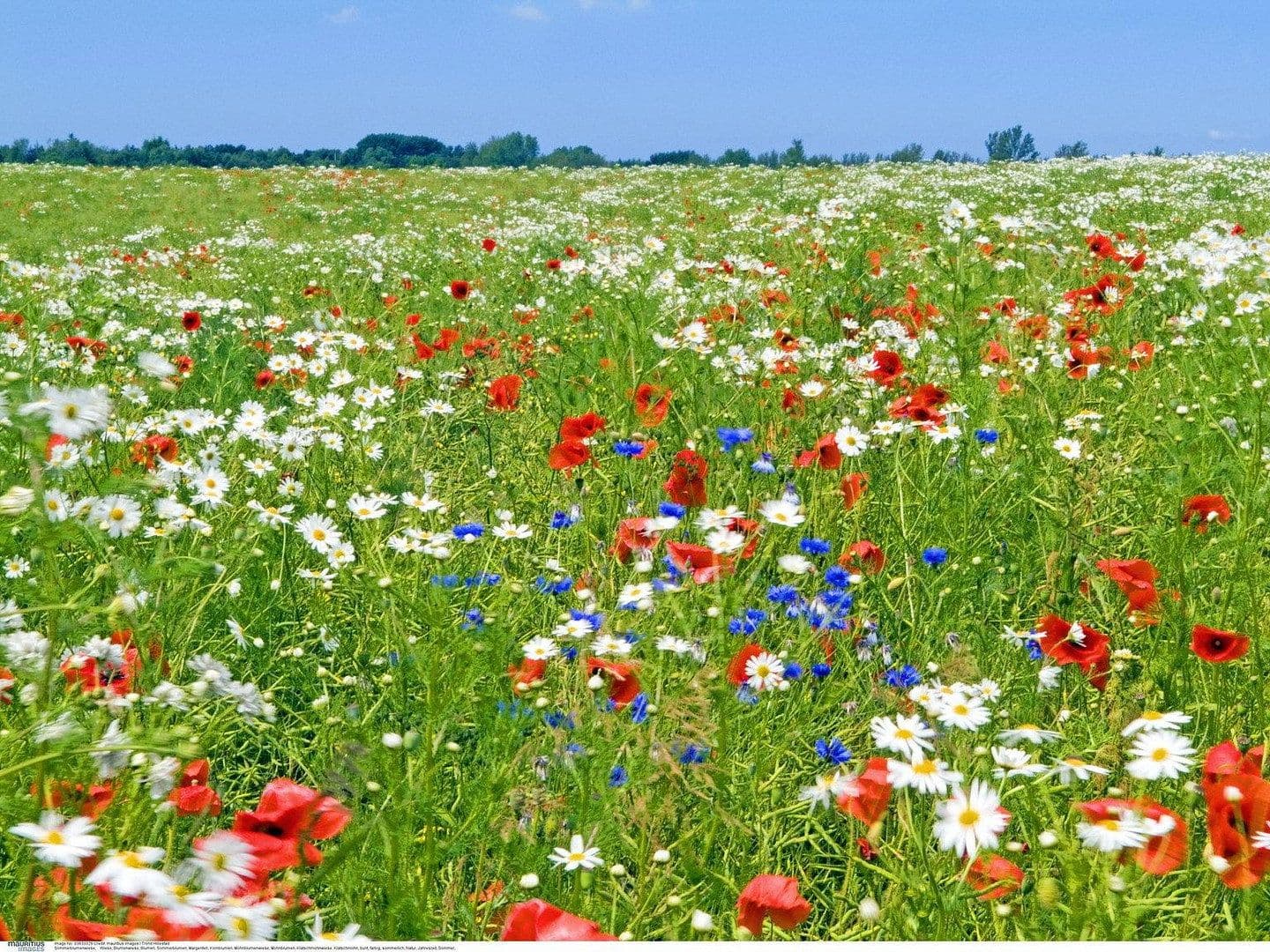plot for sale, 519 m², München, Bavaria plot for sale, 519 m², München, Bavaria