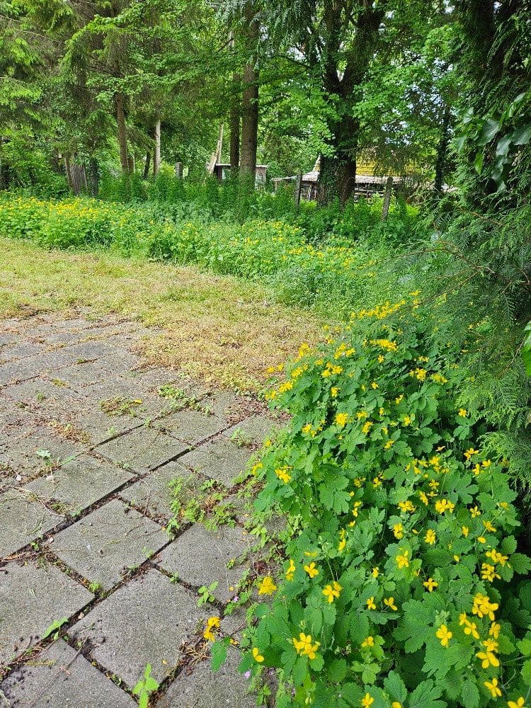 plot for sale, 600 m², Am Krebsbach 63 ( mittleres Grundstück ), Karlsfeld, Bavaria plot for sale, 600 m², Am Krebsbach 63 ( mittleres Grundstück ), Karlsfeld, Bavaria