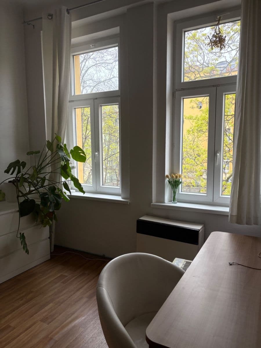 1 bedroom with open-plan kitchen flat to rent, 42 m², Na Ostrůvku, Prague, Prague 1 bedroom with open-plan kitchen flat to rent, 42 m², Na Ostrůvku, Prague, Prague