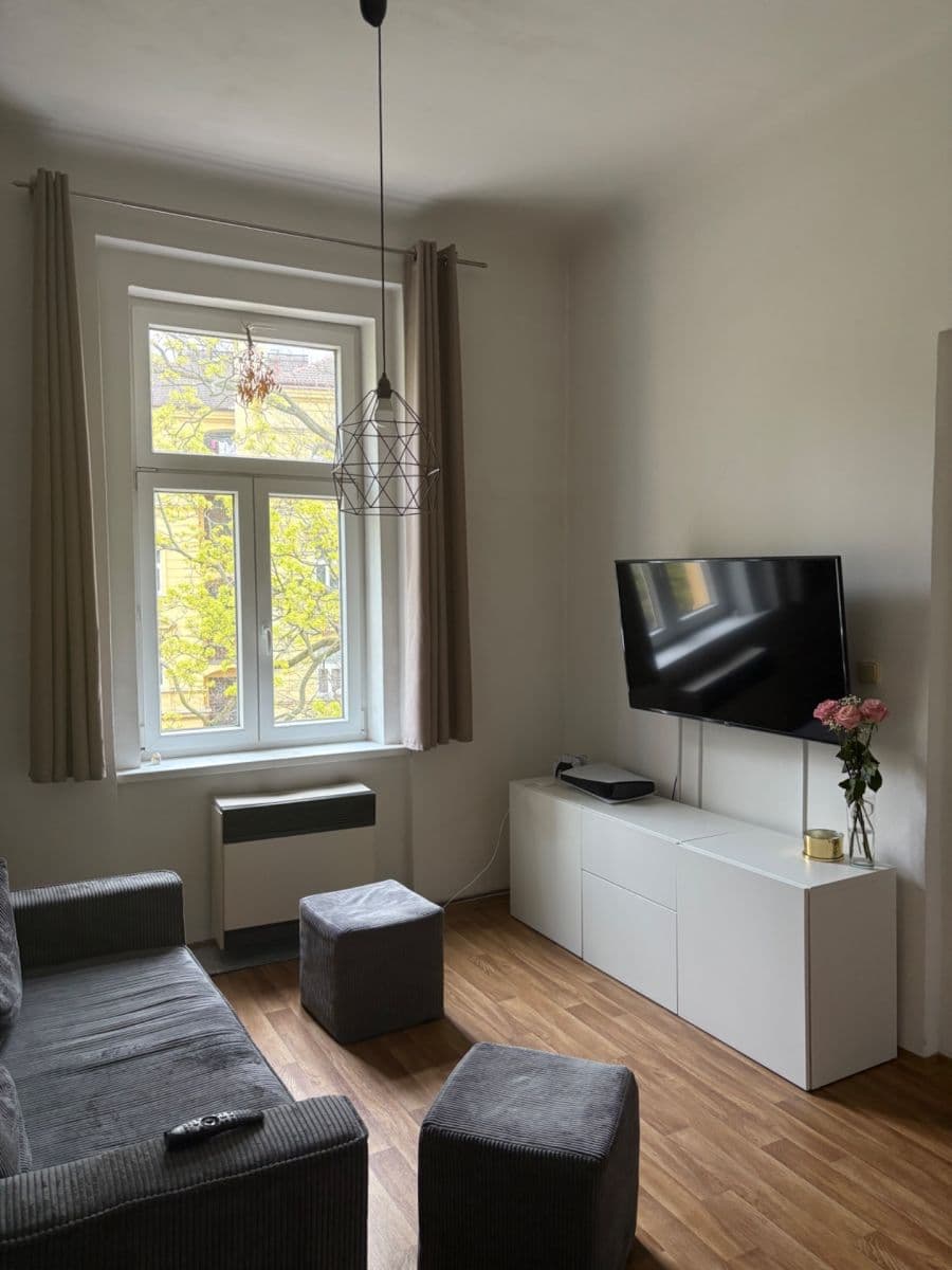 1 bedroom with open-plan kitchen flat to rent, 42 m², Na Ostrůvku, Prague, Prague 1 bedroom with open-plan kitchen flat to rent, 42 m², Na Ostrůvku, Prague, Prague