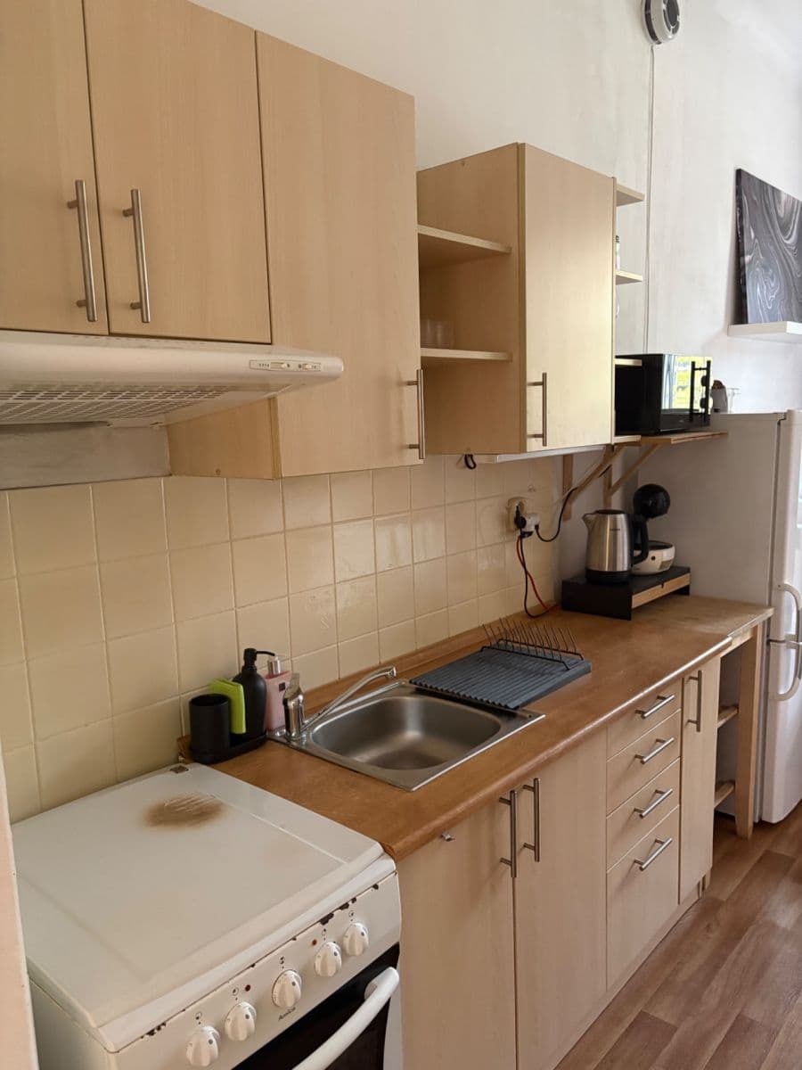 1 bedroom with open-plan kitchen flat to rent, 42 m², Na Ostrůvku, Prague, Prague 1 bedroom with open-plan kitchen flat to rent, 42 m², Na Ostrůvku, Prague, Prague