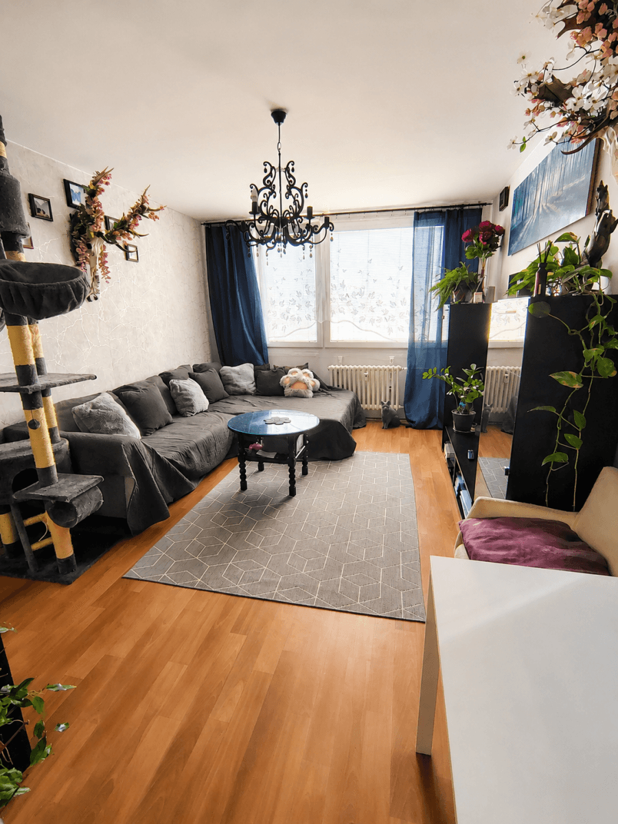 2 bedroom with open-plan kitchen flat for sale, 57 m², Radomská, Prague, Prague 2 bedroom with open-plan kitchen flat for sale, 57 m², Radomská, Prague, Prague