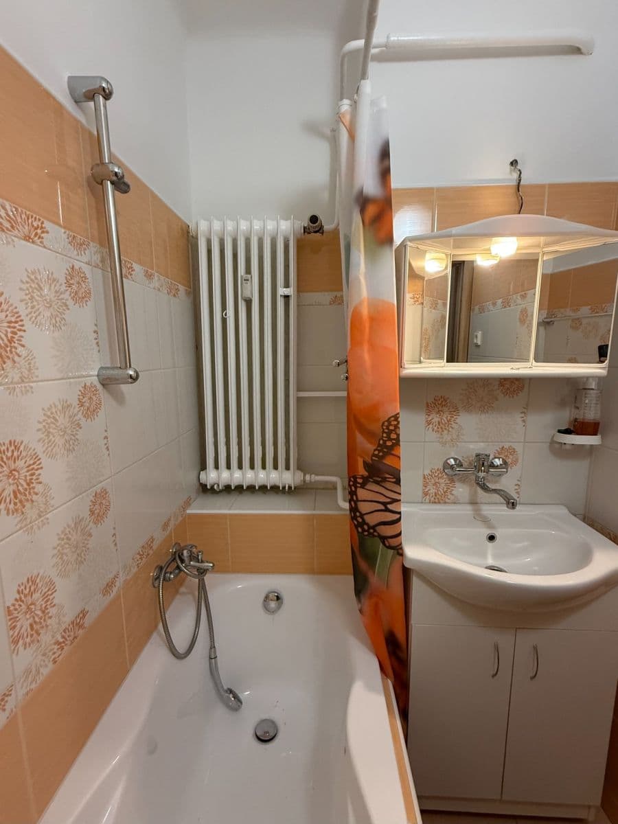 1 bedroom flat to rent, 37 m², Kralupská, Brandýs nad Labem-Stará Boleslav, Středočeský Region 1 bedroom flat to rent, 37 m², Kralupská, Brandýs nad Labem-Stará Boleslav, Středočeský Region