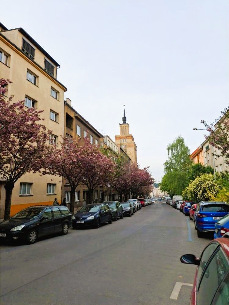 2 bedroom flat for sale, 77 m², Koulova, Prague, Prague 2 bedroom flat for sale, 77 m², Koulova, Prague, Prague