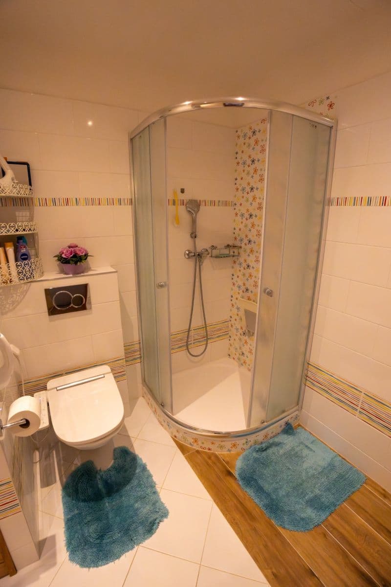 1 bedroom with open-plan kitchen flat to rent, 57 m², Cafourkova, Prague, Prague 1 bedroom with open-plan kitchen flat to rent, 57 m², Cafourkova, Prague, Prague