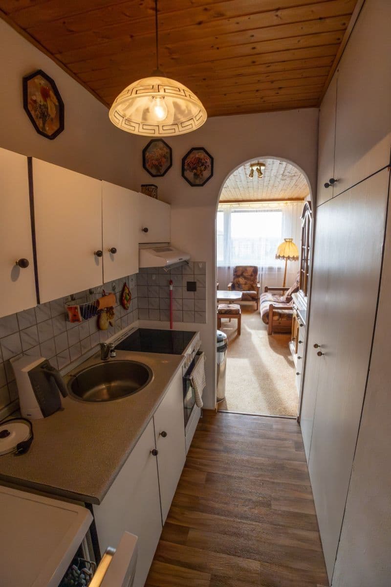 1 bedroom with open-plan kitchen flat to rent, 57 m², Cafourkova, Prague, Prague 1 bedroom with open-plan kitchen flat to rent, 57 m², Cafourkova, Prague, Prague