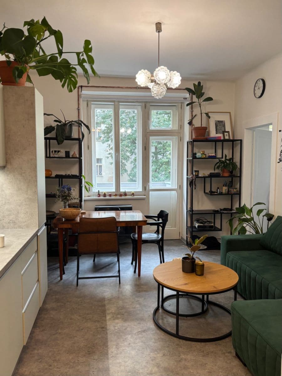 1 bedroom with open-plan kitchen flat for sale, 44 m², Sportovní, Prague, Prague 1 bedroom with open-plan kitchen flat for sale, 44 m², Sportovní, Prague, Prague