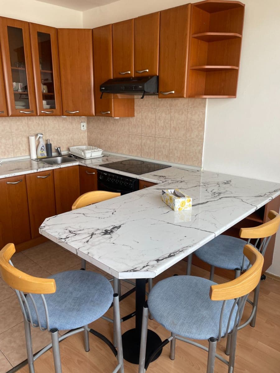1 bedroom with open-plan kitchen flat to rent, 39 m², Na Domovině, Prague, Prague 1 bedroom with open-plan kitchen flat to rent, 39 m², Na Domovině, Prague, Prague