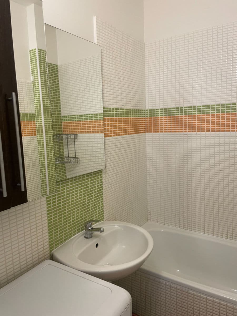 1 bedroom with open-plan kitchen flat to rent, 39 m², Na Domovině, Prague, Prague 1 bedroom with open-plan kitchen flat to rent, 39 m², Na Domovině, Prague, Prague
