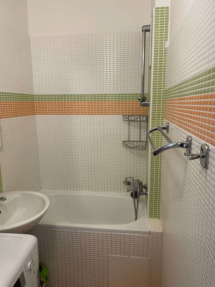 1 bedroom with open-plan kitchen flat to rent, 39 m², Na Domovině, Prague, Prague 1 bedroom with open-plan kitchen flat to rent, 39 m², Na Domovině, Prague, Prague