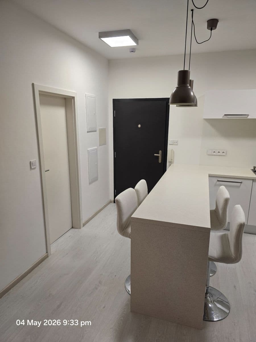 1 bedroom with open-plan kitchen flat to rent, 56 m², Počernická, Prague, Prague 1 bedroom with open-plan kitchen flat to rent, 56 m², Počernická, Prague, Prague