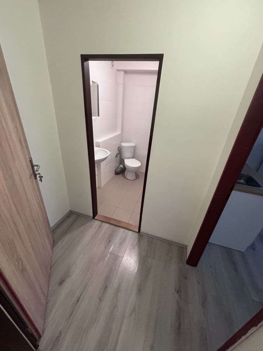 Studio flat to rent, 30 m², Kladenská, Prague, Prague Studio flat to rent, 30 m², Kladenská, Prague, Prague