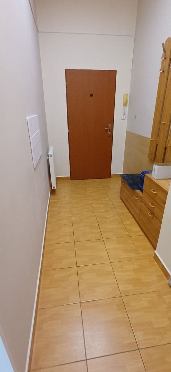 1 bedroom with open-plan kitchen flat to rent, 65 m², Jana Morávka, Jílové u Prahy, Středočeský Region 1 bedroom with open-plan kitchen flat to rent, 65 m², Jana Morávka, Jílové u Prahy, Středočeský Region